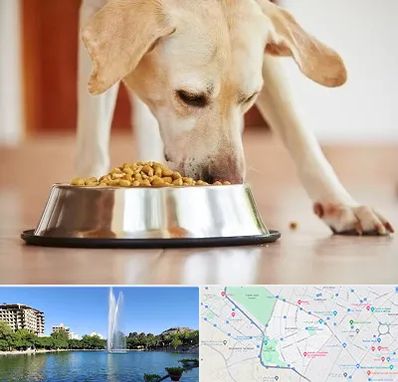 فروشگاه غذای سگ در کوهسنگی مشهد