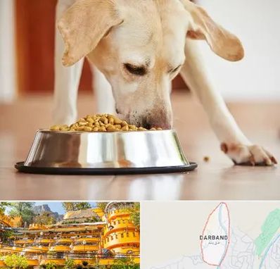 فروشگاه غذای سگ در دربند