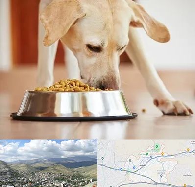 فروشگاه غذای سگ در رودهن