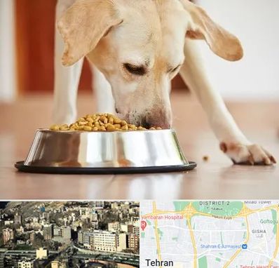 فروشگاه غذای سگ در مرزداران 
