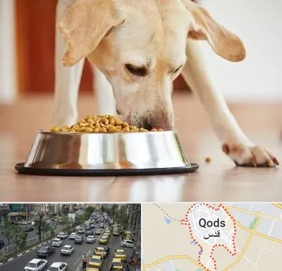 فروشگاه غذای سگ در شهر قدس
