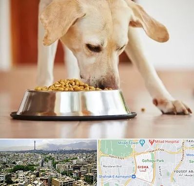 فروشگاه غذای سگ در گیشا