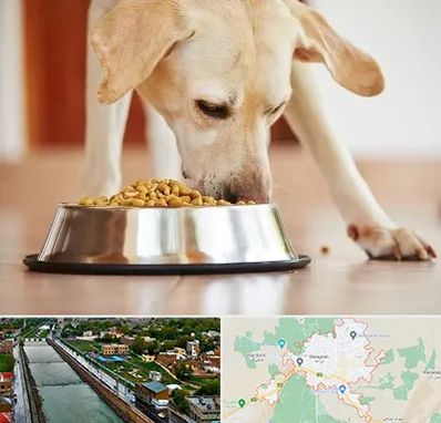 فروشگاه غذای سگ در مراغه