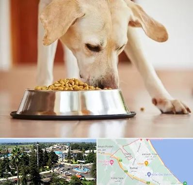 فروشگاه غذای سگ در رودسر