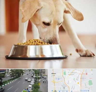 فروشگاه غذای سگ در ستارخان 