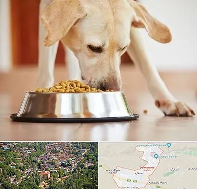 فروشگاه غذای سگ در دماوند
