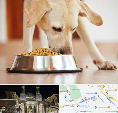 فروشگاه غذای سگ در زرگری شیراز