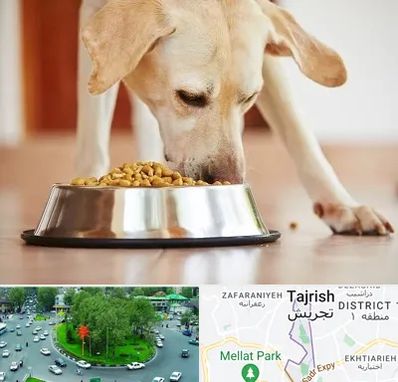 فروشگاه غذای سگ در تجریش 