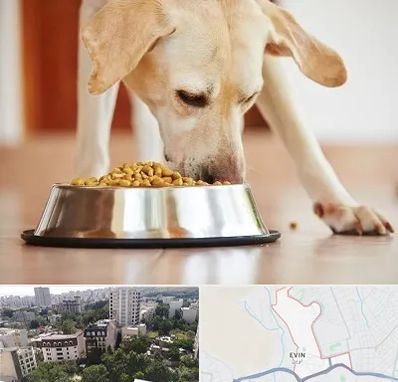 فروشگاه غذای سگ در اوین