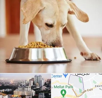 فروشگاه غذای سگ در الهیه 