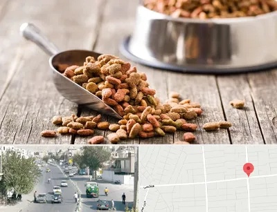 فروشگاه غذای حیوانات خانگی در هاشمی