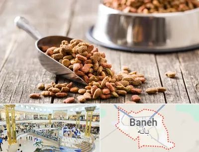 فروشگاه غذای حیوانات خانگی در بانه