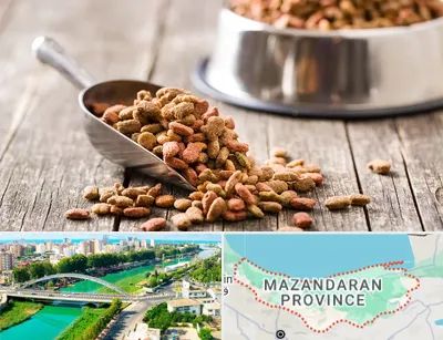 فروشگاه غذای حیوانات خانگی در مازندران