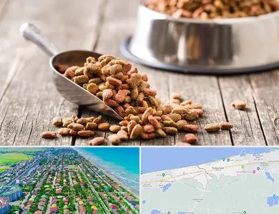 فروشگاه غذای حیوانات خانگی در فریدونکنار