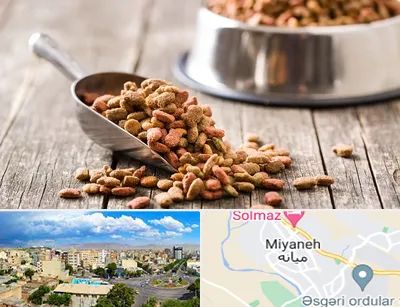 فروشگاه غذای حیوانات خانگی در میانه