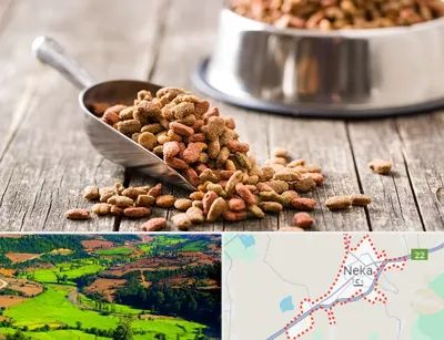 فروشگاه غذای حیوانات خانگی در نکا