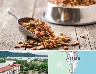 فروشگاه غذای حیوانات خانگی در آستارا