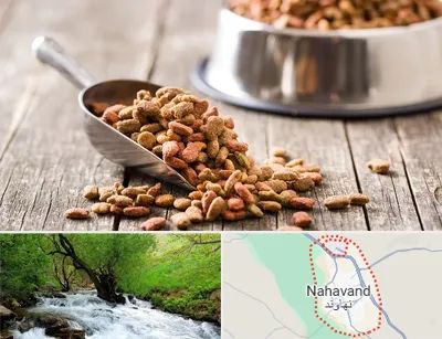 فروشگاه غذای حیوانات خانگی در نهاوند