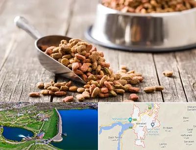 فروشگاه غذای حیوانات خانگی در مهاباد