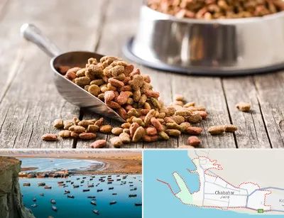 فروشگاه غذای حیوانات خانگی در چابهار