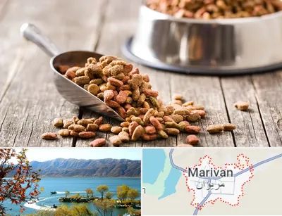 فروشگاه غذای حیوانات خانگی در مریوان
