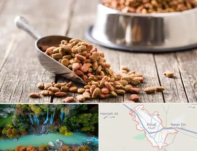فروشگاه غذای حیوانات خانگی در دورود