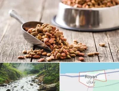 فروشگاه غذای حیوانات خانگی در رویان