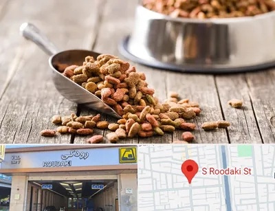 فروشگاه غذای حیوانات خانگی در رودکی