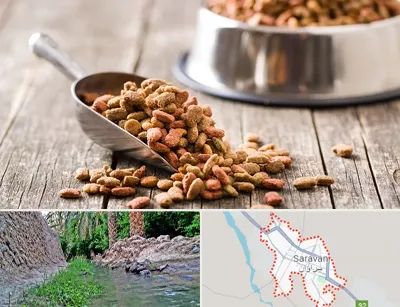 فروشگاه غذای حیوانات خانگی در سراوان