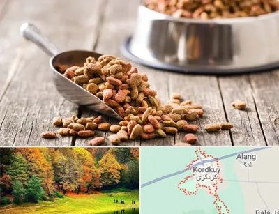 فروشگاه غذای حیوانات خانگی در کردکوی