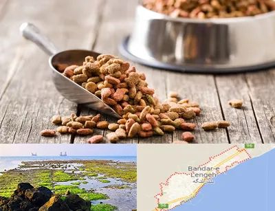 فروشگاه غذای حیوانات خانگی در بندرلنگه