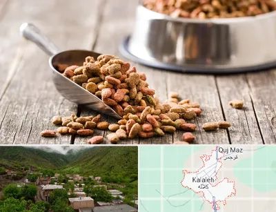 فروشگاه غذای حیوانات خانگی در کلاله