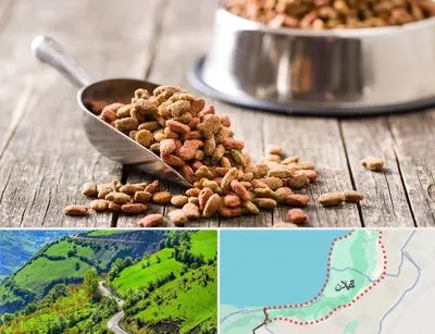 فروشگاه غذای حیوانات خانگی در گیلان