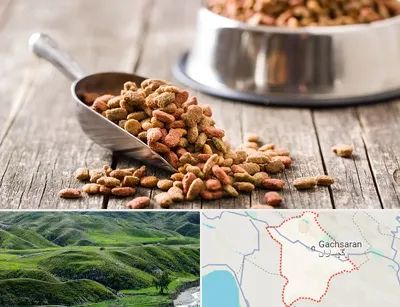 فروشگاه غذای حیوانات خانگی در گچساران