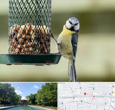 فروشگاه غذای پرندگان در هشت بهشت اصفهان