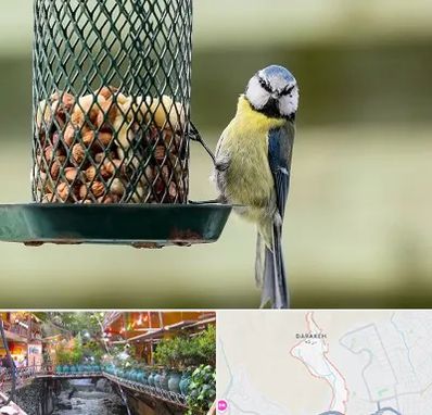 فروشگاه غذای پرندگان در درکه