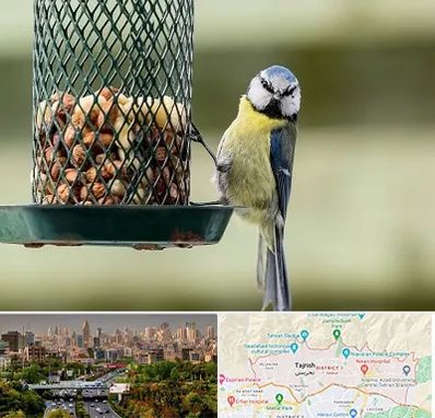 فروشگاه غذای پرندگان در منطقه 1 تهران