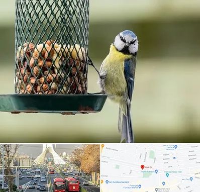 فروشگاه غذای پرندگان در خیابان آزادی