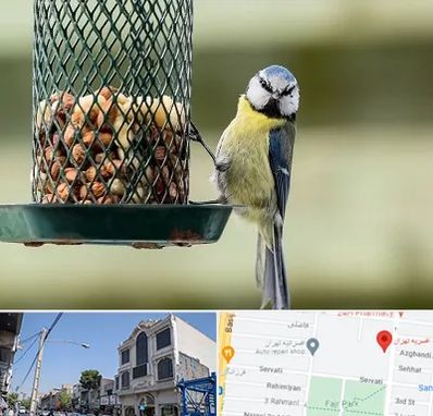 فروشگاه غذای پرندگان در افسریه