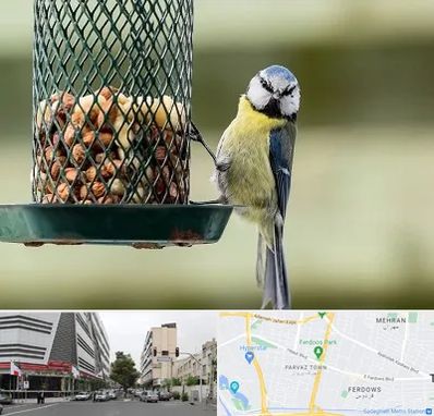 فروشگاه غذای پرندگان در بلوار فردوس