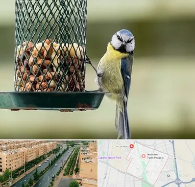 فروشگاه غذای پرندگان در فاز سه اندیشه
