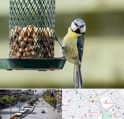 فروشگاه غذای پرندگان در خیابان زند شیراز