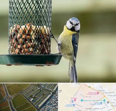 فروشگاه غذای پرندگان در الهیه مشهد