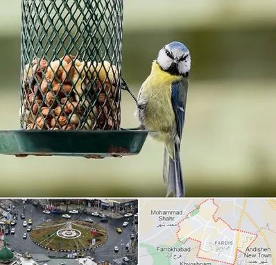 فروشگاه غذای پرندگان در فردیس کرج