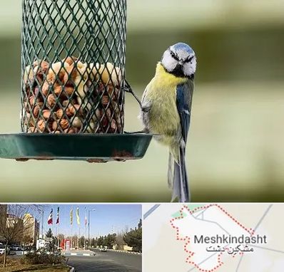 فروشگاه غذای پرندگان در مشکین دشت
