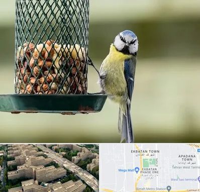 فروشگاه غذای پرندگان در اکباتان