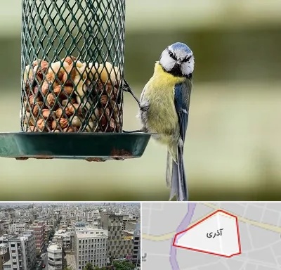 فروشگاه غذای پرندگان در آذری