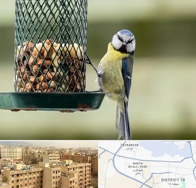 فروشگاه غذای پرندگان در جنوب غرب تهران
