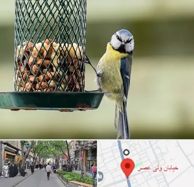 فروشگاه غذای پرندگان در ولیعصر شهریار