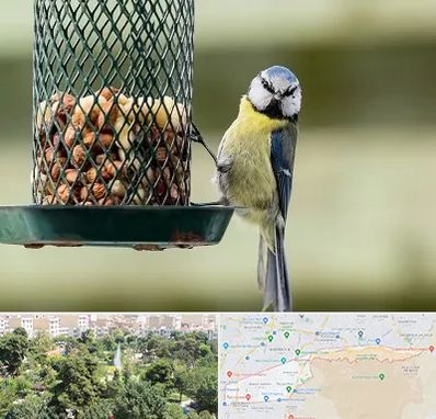 فروشگاه غذای پرندگان در منطقه 13 تهران